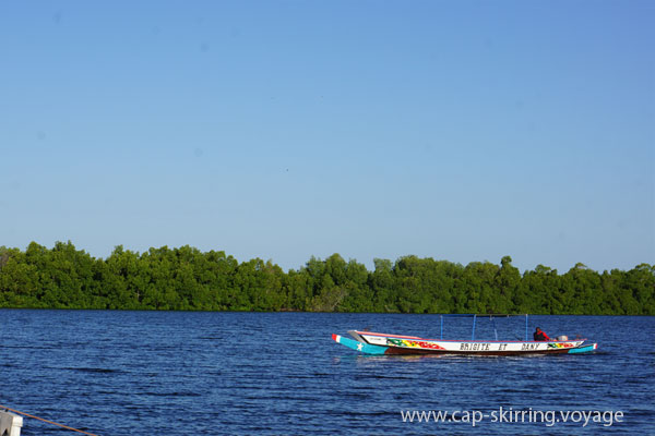 hôtel situé dans le sud de la casamance au sénégal balade en pirogue